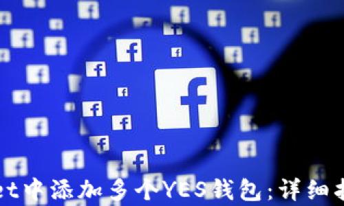 
如何在tpWallet中添加多个YES钱包：详细指南与实用技巧