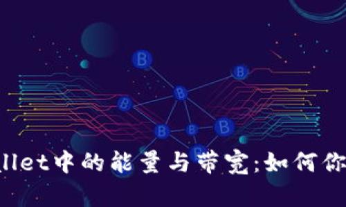 深入解读tpWallet中的能量与带宽：如何你的区块链体验？