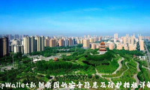 
tpWallet私钥截图的安全隐患及防护措施详解