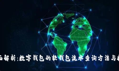 全面解析：数字钱包的软钱包流水查询方法与技巧