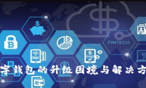 二类数字钱包的升级困境与解决方案详解