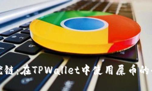 选择最优链：在TPWallet中使用屎币的全面指南
