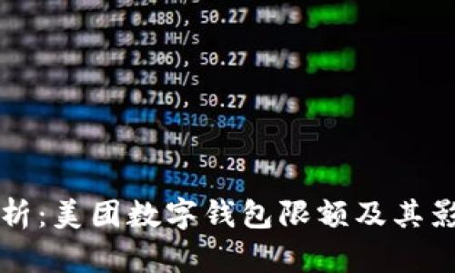 全面解析：美团数字钱包限额及其影响因素