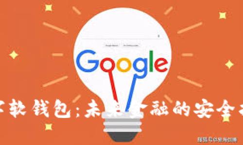 : 数字软钱包：未来金融的安全护航者