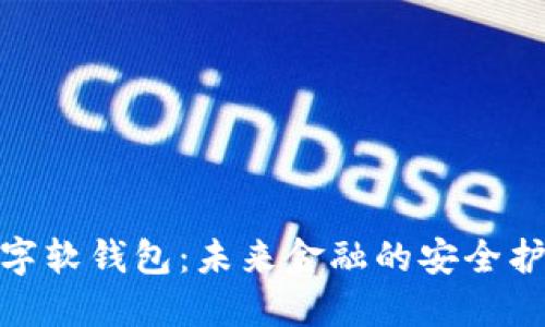 : 数字软钱包：未来金融的安全护航者