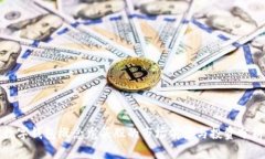 数字钱包概念龙头股的市场前景与投资分析