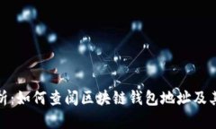 全面解析：如何查阅区块链钱包地址及其重要性