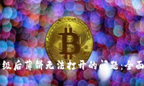 解决tpWallet升级后薄饼无法打开的问题：全面指南与实用技巧