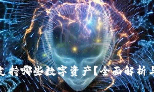 数字钱包支持哪些数字资产？全面解析与应用指南