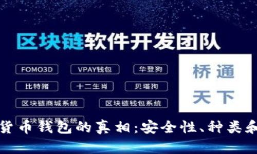 揭秘数字货币钱包的真相：安全性、种类和使用指南