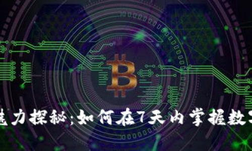 数字钱包的魅力探秘：如何在7天内掌握数字支付的未来