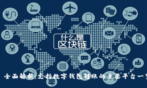 : 全面解析：支持数字钱包转账的主要平台一览
