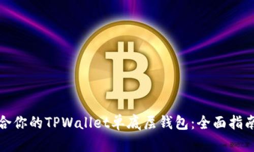 如何选择适合你的TPWallet单底层钱包：全面指南与实用建议