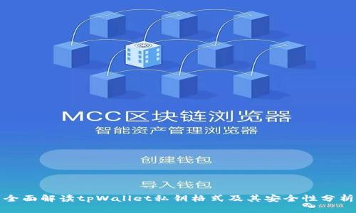 全面解读tpWallet私钥格式及其安全性分析