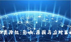 数字钱包二类降级：影响、原因与应对策略全面