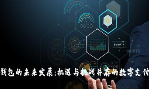 数字钱包的未来发展：机遇与挑战并存的数字支付革命