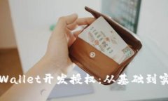 全面了解tpWallet开发授权：从基础到实践的全解析