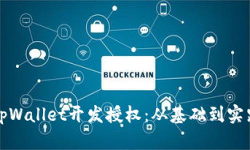 全面了解tpWallet开发授权：从基础到实践的全解析