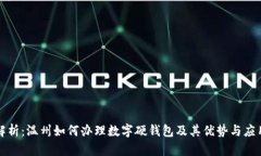 全面解析：温州如何办理数字硬钱包及其优势与