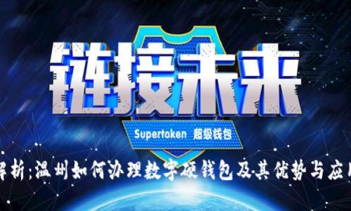 全面解析：温州如何办理数字硬钱包及其优势与应用前景