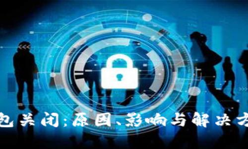 数字钱包关闭：原因、影响与解决方案详解