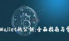 如何找到tpWallet的公钥：全面指南与常见问题解答