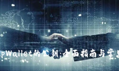 如何找到tpWallet的公钥：全面指南与常见问题解答
