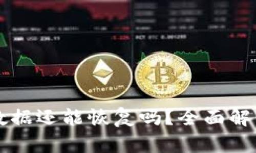 tpWallet删除后数据还能恢复吗？全面解析与数据安全指南