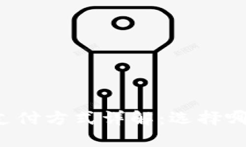 区块链钱包支付方式详解：选择哪种卡最合适？