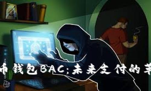 数字人民币钱包BAC：未来支付的革命性工具