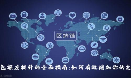 数字钱包额度提升的全面指南：如何有效增加你的支付限额