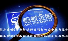 抖音钱包能加密吗？全面解读抖音钱包的安全性