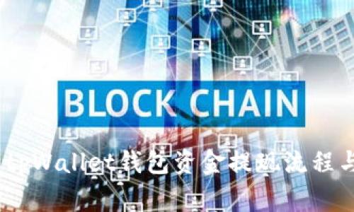 :全面解析tpWallet钱包资金提现流程与注意事项