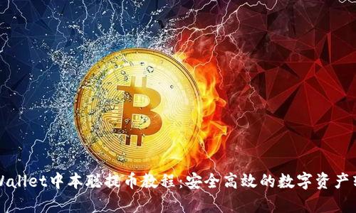 详解tpWallet中本聪提币教程：安全高效的数字资产转移方法