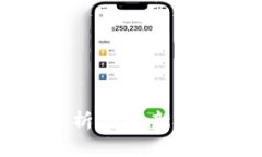 tpWallet安全性分析与更新限制，用户如何应对？