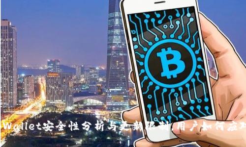tpWallet安全性分析与更新限制，用户如何应对？