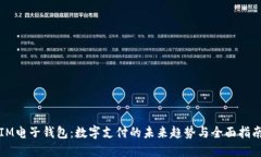 IM电子钱包：数字支付的未来趋势与全面指南