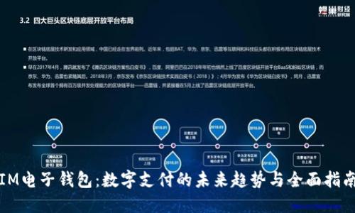 IM电子钱包：数字支付的未来趋势与全面指南