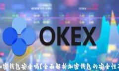推特推出加密钱包安全吗？全面解析加密钱包的