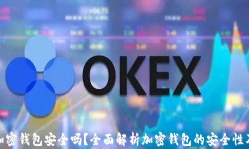 
推特推出加密钱包安全吗？全面解析加密钱包的安全性及使用经验