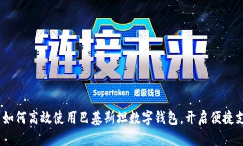全面分析：如何高效使用巴基斯坦数字钱包，开启便捷支付新时代