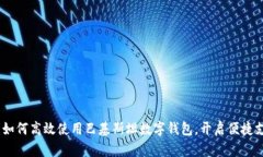 全面分析：如何高效使用巴基斯坦数字钱包，开