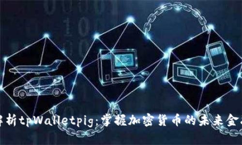 全面解析tpWalletpig：掌握加密货币的未来金融工具