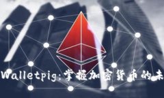 全面解析tpWalletpig：掌握加密货币的未来金融工具