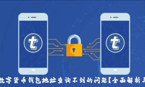   
如何解决数字货币钱包地址查询不到的问题？全面解析与实用指南