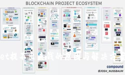 tpWallet提不出来钱的原因与解决方案全解析