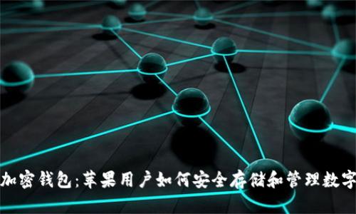 探秘加密钱包：苹果用户如何安全存储和管理数字资产
