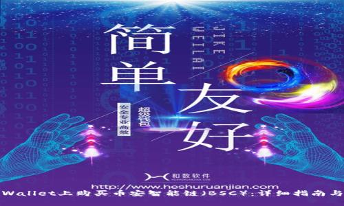 如何在tpWallet上购买币安智能链（BSC）：详细指南与注意事项