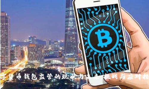 数字货币钱包监管的现状与未来：挑战与应对措施