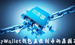 深入解析tpWallet钱包未收到币的原因及解决方法